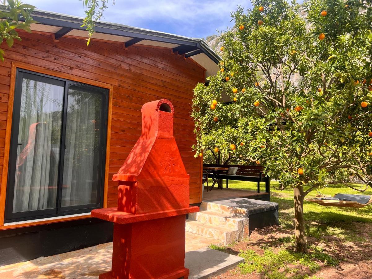 Arcadia Villas Çıralı Exteriér fotografie
