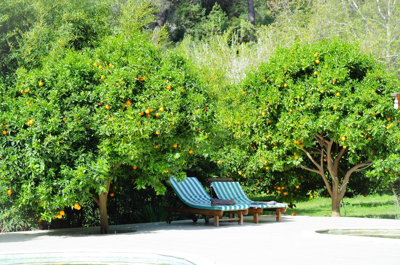 Arcadia Villas Çıralı Exteriér fotografie